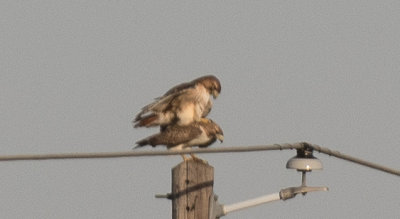 RCD_2854.jpg