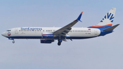 Boeing 737-800