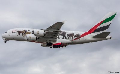 A6-EEI Airbus A380 Emirates United for Wildlife 