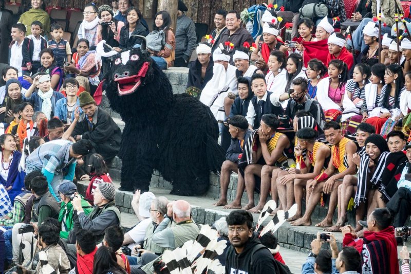 A Bull in the Stands