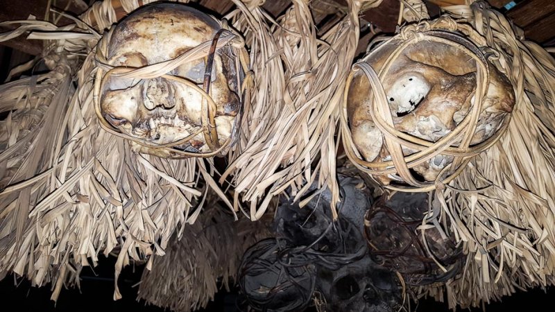 Human Skulls Hanging in a Longhouse