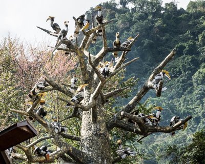 Sculpture of Hornbills in a Tree