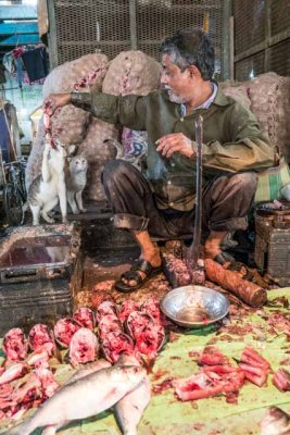 Fish Monger with Cats