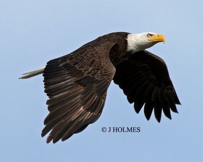 D5H_8909.jpg