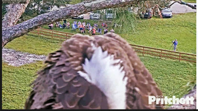 cam view.jpg