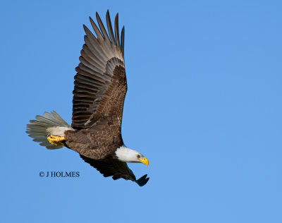 D85_2779.jpg