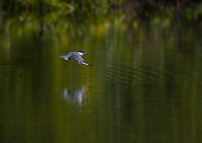 D85_3160.jpg