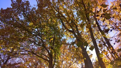 WP_20161105_16_12_03_Pro.jpg