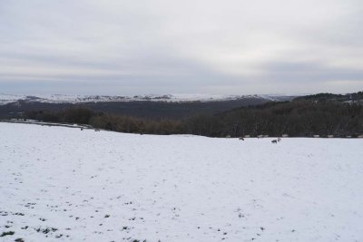 Snow line
