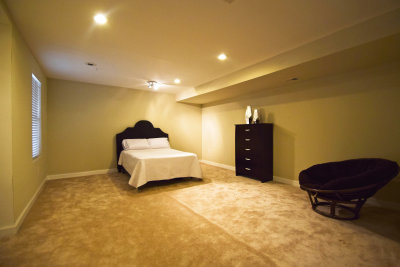 Basement Guest Br