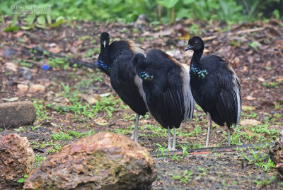 g10/35/632935/3/165284174.kMfKe2XF.jpg