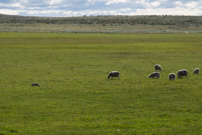 Patagonia_2017-0170.jpg