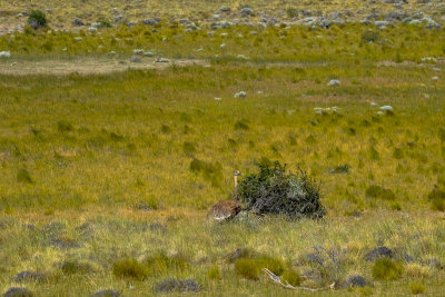 Patagonia_2017-1324.jpg