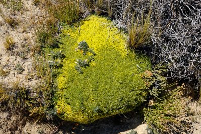 Patagonia_2017-1426.jpg