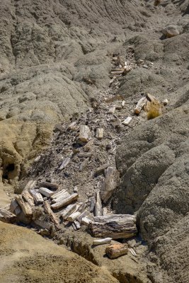Patagonia_2017-1428.jpg