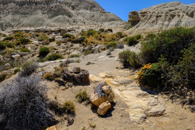 Patagonia_2017-1444.jpg