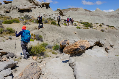 Patagonia_2017-1463.jpg