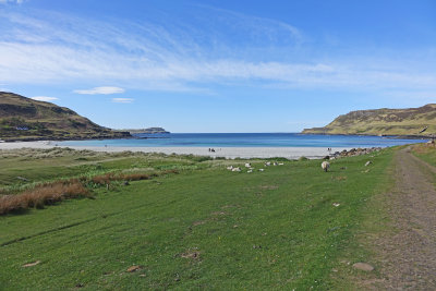 Calgary Bay
