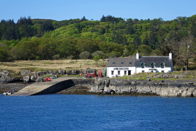 Ulva