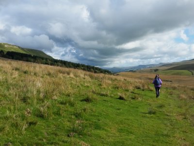 g10/35/663235/3/167523871.pRP4CQal.jpg