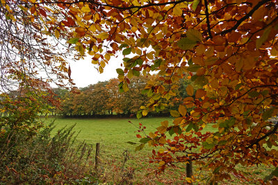 Washburn Valley