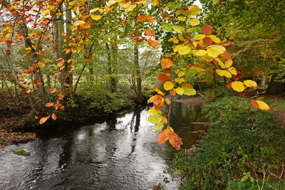 Washburn Valley
