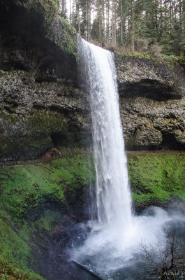 Silver Creek Falls