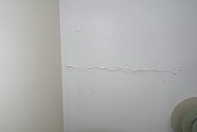 DSC04774_resize.JPG