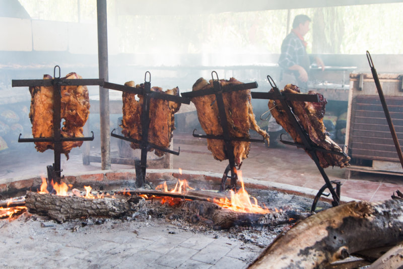 Argentine, Amrique du Sud / Argentina, South America