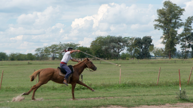 Argentine, Amrique du Sud / Argentina, South America