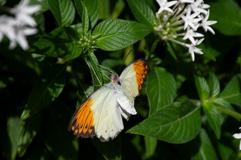 _D755478.jpg