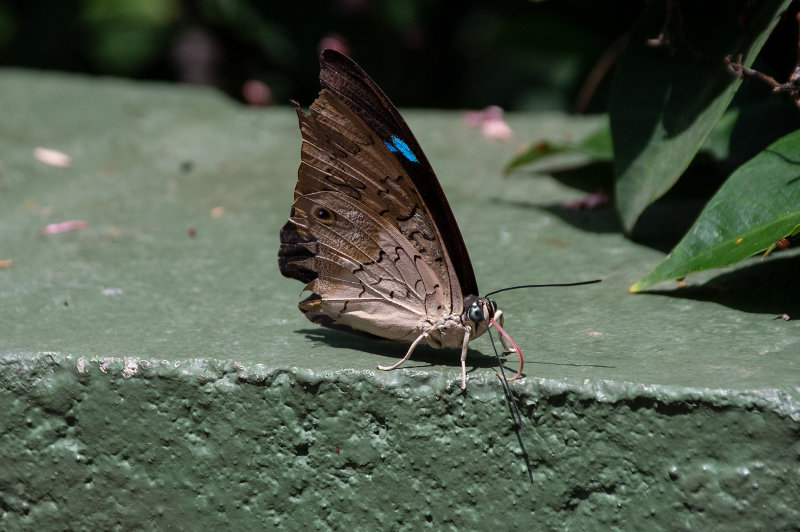 _D755509.jpg