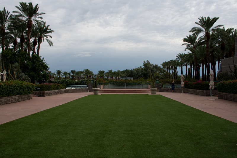 _D755911.jpg