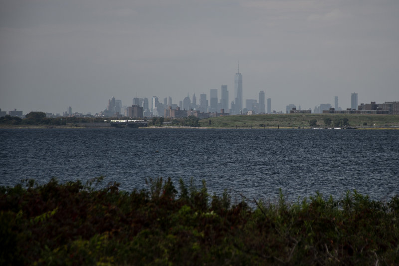 _D756465.jpg