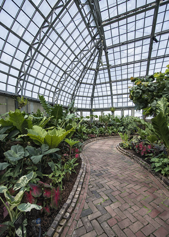 Garfield Park Conservatory