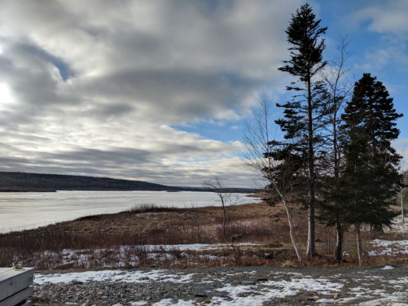 Newfoundland_3.jpeg