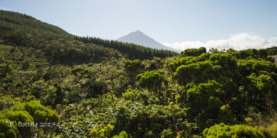 Vulcano Pico