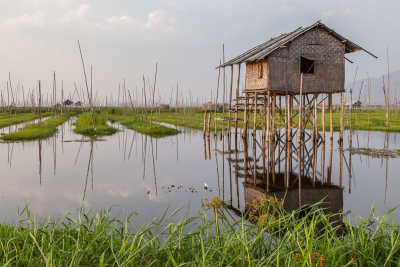 Myanmar -120.jpg