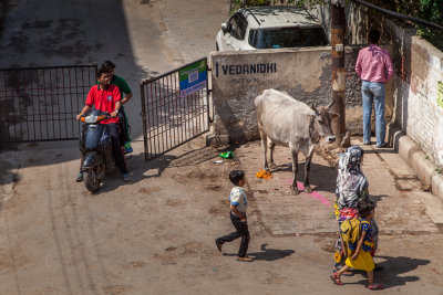 Varanasi-120.jpg