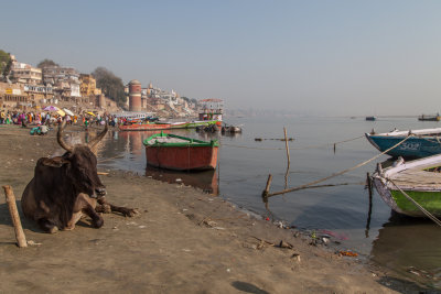 Varanasi-140.jpg