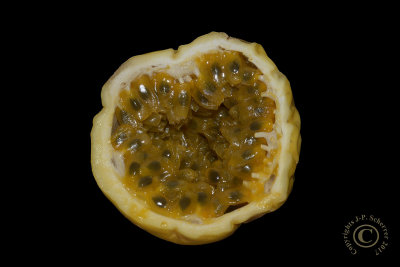 Maracuja, or Passion-fruit, or fruit de la passion