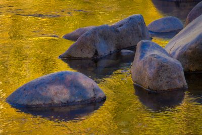 Reflections-2.jpg