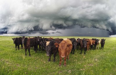 D4E_2404MercedStormFront1.jpg