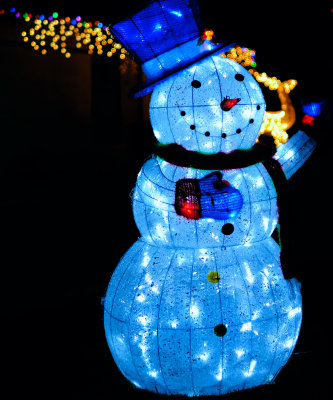 D3F_0967Snowman28mm1.jpg