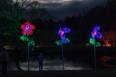 glowfest-1002.jpg