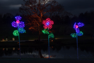 glowfest-1003.jpg