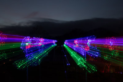 glowfest-1004.jpg