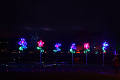 glowfest-1005.jpg