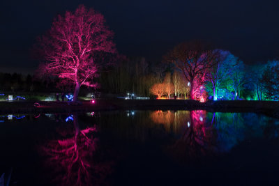 glowfest-1007.jpg