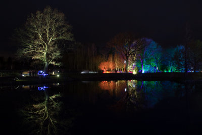 glowfest-1009.jpg
